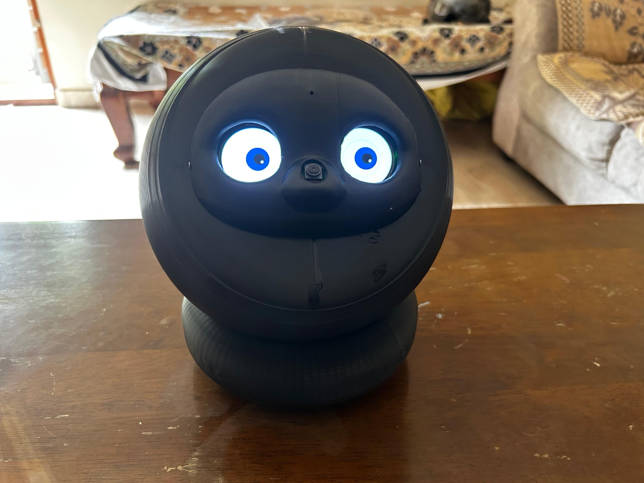 Educational Robotics
